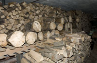 Holz 1